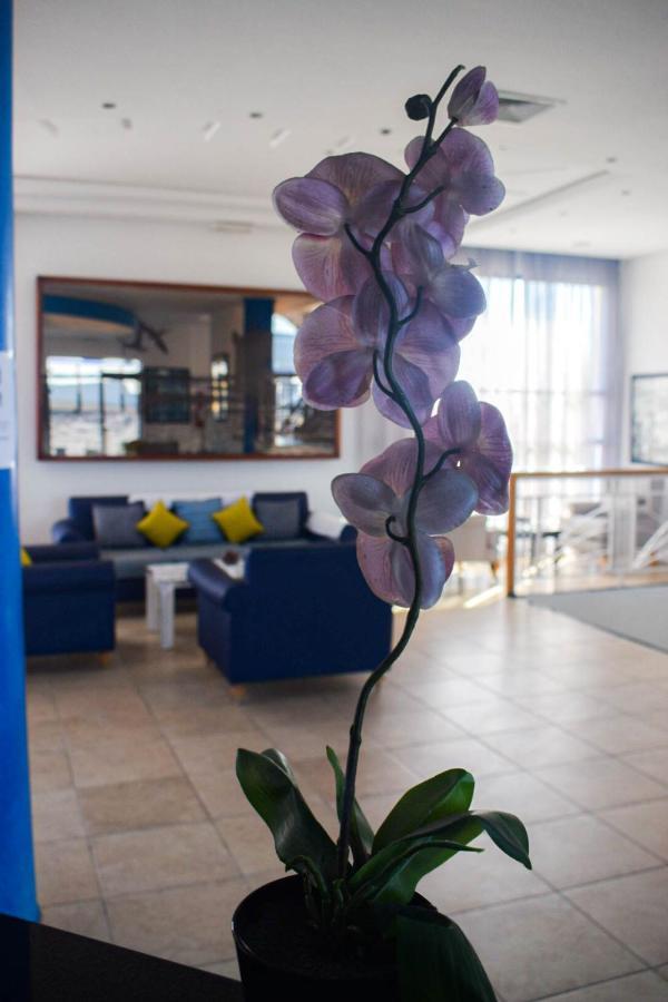 Auberge Oualidia Dream Екстериор снимка