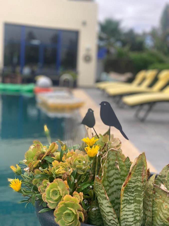 Auberge Oualidia Dream Екстериор снимка
