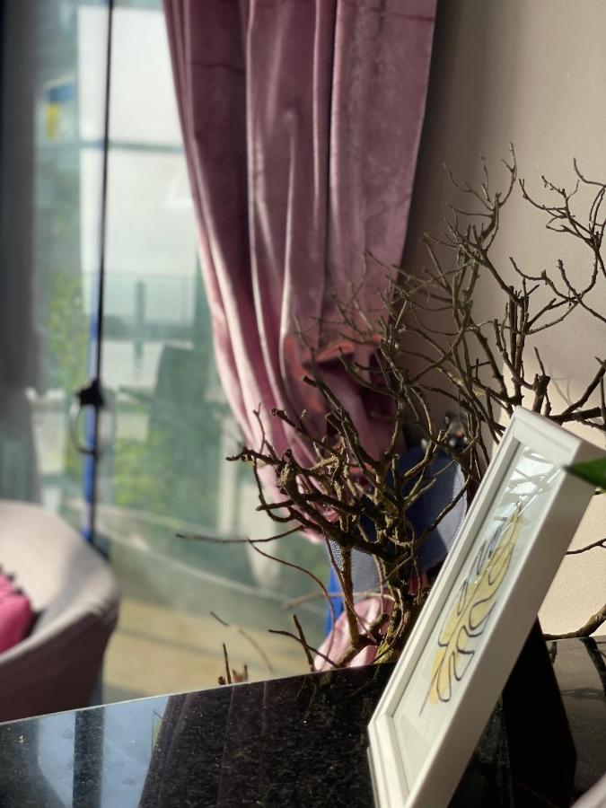 Auberge Oualidia Dream Екстериор снимка